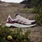 adidas Terrex Anylander putty mauve/warm clay/pure ruby (Damen) Vorschaubild