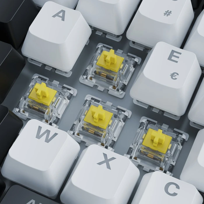 Sharkoon Skiller SGK50 S3 White, schwarz/weiß, LEDs RGB, hot-swap, Gateron YELLOW, USB, FR