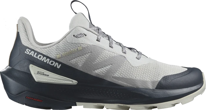 Salomon Elixir Activ glacier grey/carbon/slate green (Herren)