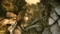 Dragon Age: Origins - Awakening (Add-on) (PC) Vorschaubild