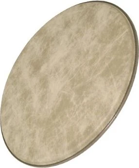 Remo Ambassador Fiberskyn 18"