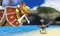 One Piece - Unlimited Cruise SP 2 (3DS) Vorschaubild