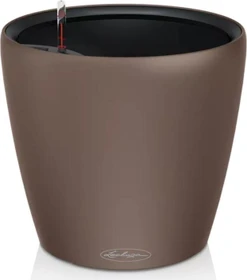 Lechuza Classico Color LS 43 muskat