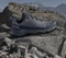 adidas Terrex Skychaser Ax5 grey three/grey four/shadow navy (Herren) Vorschaubild