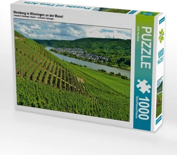 Calvendo Weinberg in Winningen an der Mosel