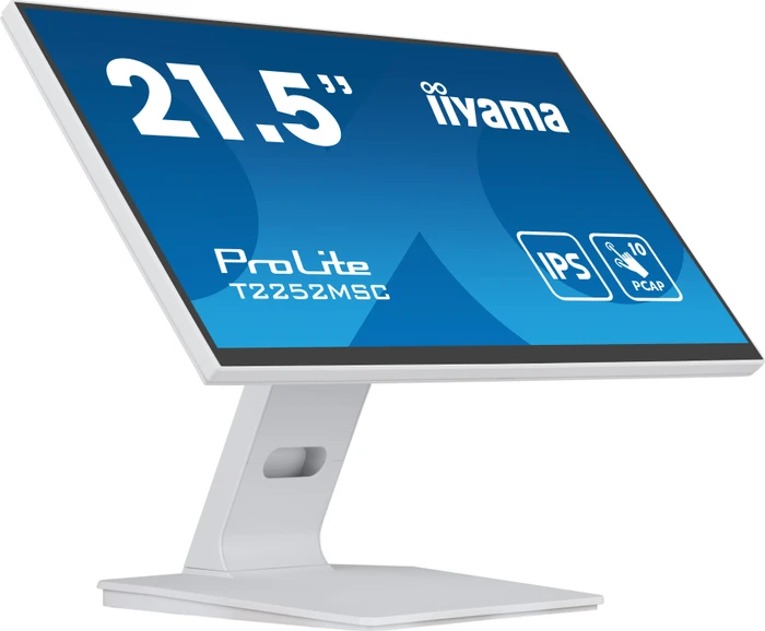 iiyama ProLite T2252MSC-W2, 21.45"