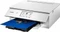 Canon PIXMA TS8351 weiß, Tinte, mehrfarbig Vorschaubild