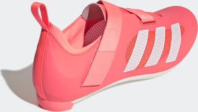 adidas The Indoor turbo/cloud white/acid red