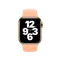 Apple Sportarmband Regular für Apple Watch 40mm cantaloupe Vorschaubild