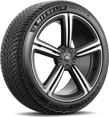 Michelin Pilot Alpin 5