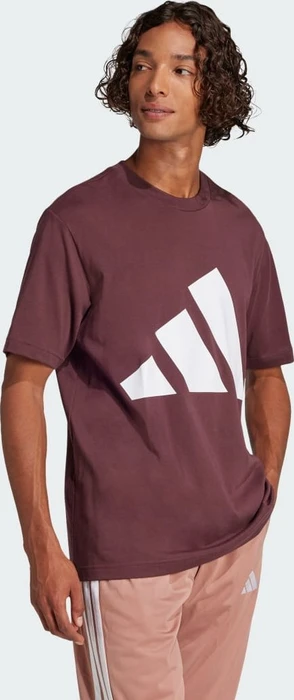 adidas Essentials Big Logo T-Shirt kurzarm aurora ruby/brown (Herren)