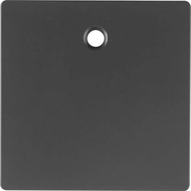 Berker Q.1/Q.3 Zentralstück für Zugschalter/-taster, anthrazit samt