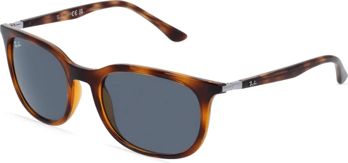Ray-Ban RB4386 54mm polished havana/blue