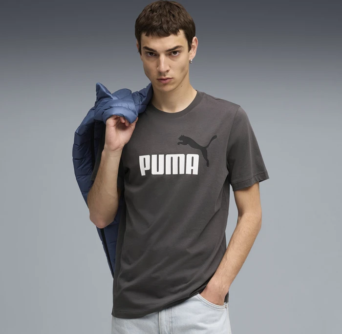 Puma Essentials 2 Colour No. 1 Logo T-Shirt kurzarm dusky grey (Herren)