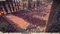 Rome: Total War 2 - Beasts of War (Download) (Add-on) (PC) Vorschaubild