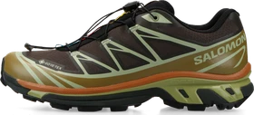 Salomon XT-6 GTX delicioso/tea/brilliant olive
