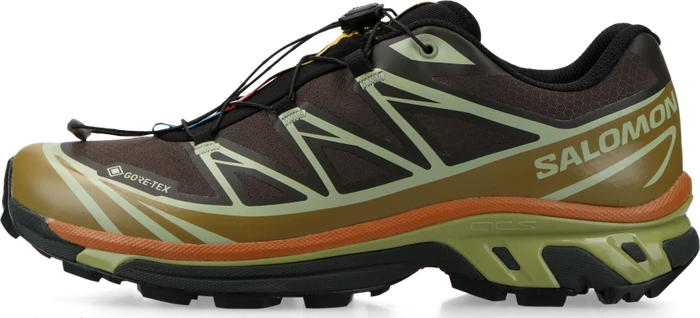 Salomon XT-6 GTX delicioso/tea/brilliant olive