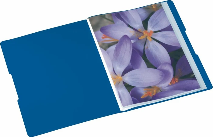 Herlitz easy orga to go Sichtbuch, A4, blau, inkl. 20 Klarsichthüllen