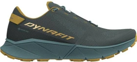 Dynafit Ultra 100 GTX lichen/atlantic (Herren)