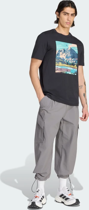 adidas Terrex Xploric Clima365 Cargo Hose lang grey four (Herren)