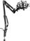 Trust Gaming GXT 253 Emita Streaming Microphone Arm Vorschaubild