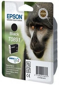 Epson Tinte T0891 schwarz