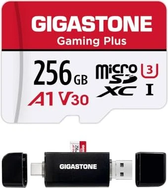 Gigastone Gaming Plus R100/W60 256GB Kit, UHS-I U3, A1, Class 10