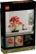 LEGO Botanicals - Japanischer Roter Ahorn Bonsai-Baum Vorschaubild
