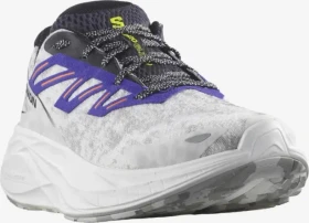 Salomon Aero Glide 2 white/phantom/spectrum blue (Herren)