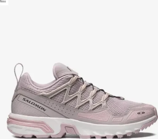 Salomon ACS+ OG cloud gray/pale mauve/phantom
