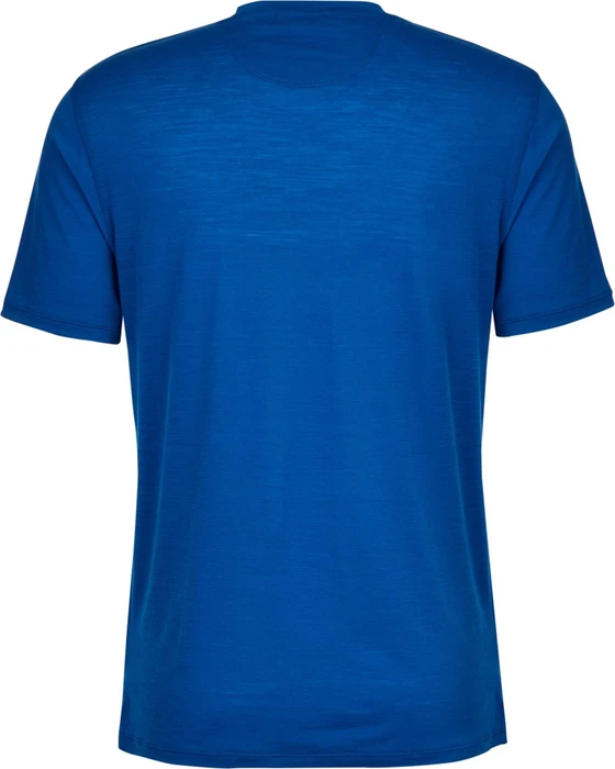 Patagonia Capilene Cool Merino Graphic Funktionsshirt kurzarm fitz roy fader/alpine blue (Herren)