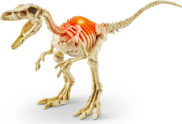 Zuru Robo Alive Mini Dino Fossil Find (71115TQ2)