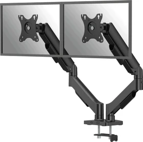 Fellowes Everyday Plus Doppel-Monitorarm schwarz