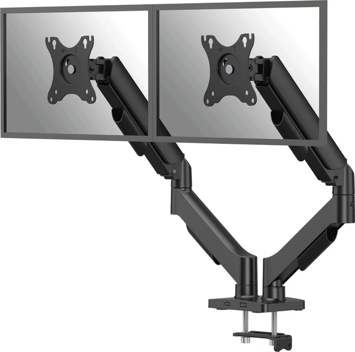 Fellowes Everyday Plus Doppel-Monitorarm schwarz