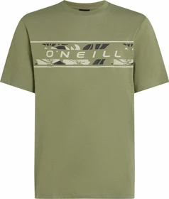 O'Neill Front Graphic T-Shirt kurzarm avery fern (Herren)