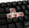 Ducky One 2 Mini RGB PBT, LEDs RGB, schwarz, MX SILENT RGB RED, USB, DE Vorschaubild