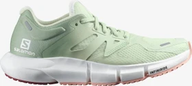 Salomon Predict 2 spray/granite green/blooming dahlia (Damen)