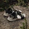 adidas Terrex Hydroterra olive strata/core black/wonder beige Vorschaubild