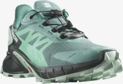 Salomon Supercross 4 GTX (Damen)