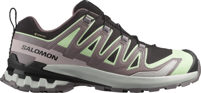 Salomon XA Pro 3D V9 GTX grisaille/tradewinds/spellbound (Damen)