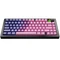 Glorious GPBT Gradient V2 Keycaps, Kunststoff (PBT), Nebula, rosa/violett, 131 Tasten, ANSI-US Vorschaubild