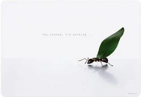 Speedlink Lares Notebook Cover Working Ant