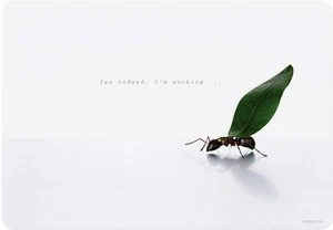 Speedlink Lares Notebook Cover Working Ant