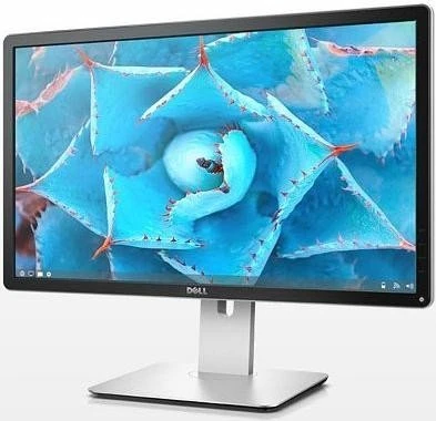 Dell P2415Q, 24"
