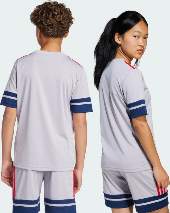 adidas Squadra 25 Trikot kurzarm glory grey/team navy blue 2/pure ruby (Junior)