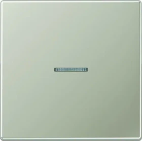 Jung Serie LS Wippe mit Lichtleiter 1fach, Edelstahl