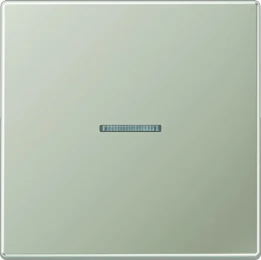 Jung Serie LS Wippe mit Lichtleiter 1fach, Edelstahl