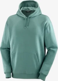 Salomon Logo Pride Hoodie north atlantic (Herren)