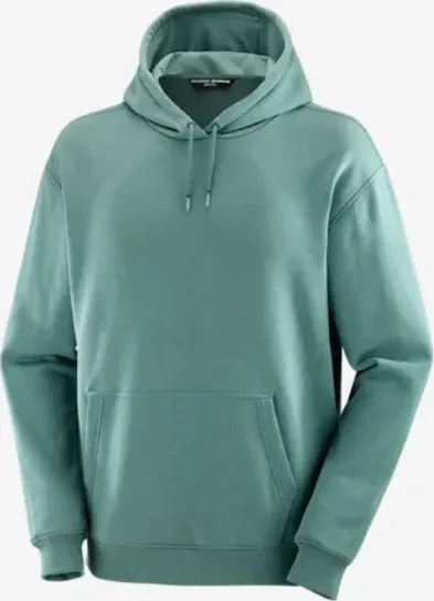 Salomon Logo Pride Hoodie north atlantic (Herren)
