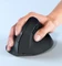 Equip Ergonomic Rechargeable Dual Mode Wireless Mouse schwarz, USB/Bluetooth Vorschaubild